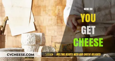 The Art of Cheese Making: A Beginner's Guide