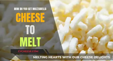 Mozzarella Melting Secrets: Techniques for Perfect Cheese