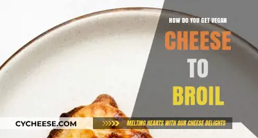 Broiling Vegan Cheese: Tips for Melty, Golden Deliciousness