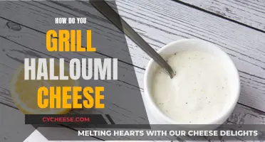Grilled Halloumi: A Beginner's Guide to Perfect Grilling