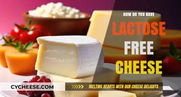 Enjoy Cheese, Lactose-Free: The Secret to Dairy Freedom