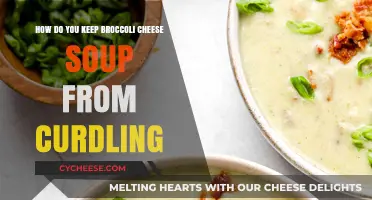 Prevent Broccoli Cheese Soup Curdling: Simple Tips for Creamy Perfection