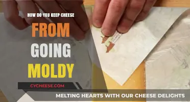 Prevent Cheese Mold: Effective Storage Tips to Keep Cheese Fresh
