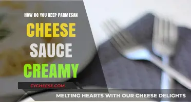 Keep Your Parmesan Cheese Sauce Creamy with These Tips