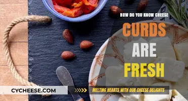 How to Tell If Cheese Curds Are Fresh: A Quick Guide