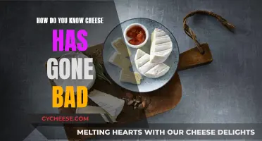 Cheese Gone Bad: How to Tell