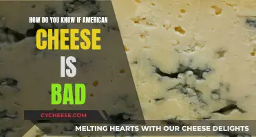 Spotting Bad American Cheese: Signs to Watch Out For