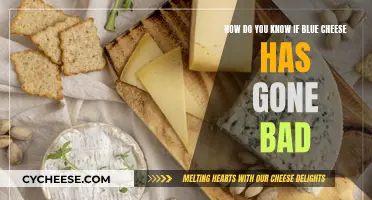 Blue Cheese: Signs of Spoilage and Safety Tips