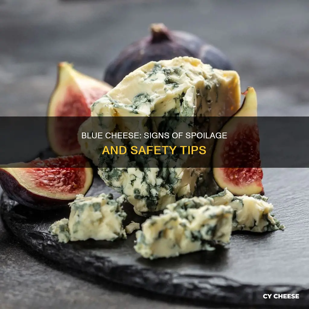 how do you know if blue cheese has gone bad
