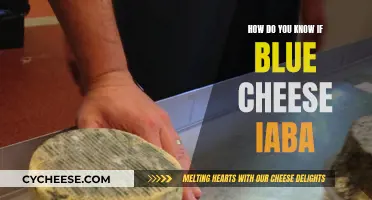 Blue Cheese Exploration: Is It Really Moldy and Good for You?