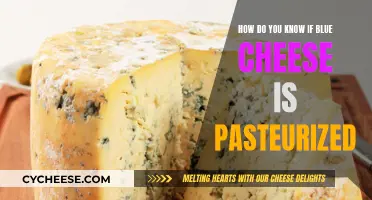 Is Blue Cheese Pasteurized? What You Need to Know