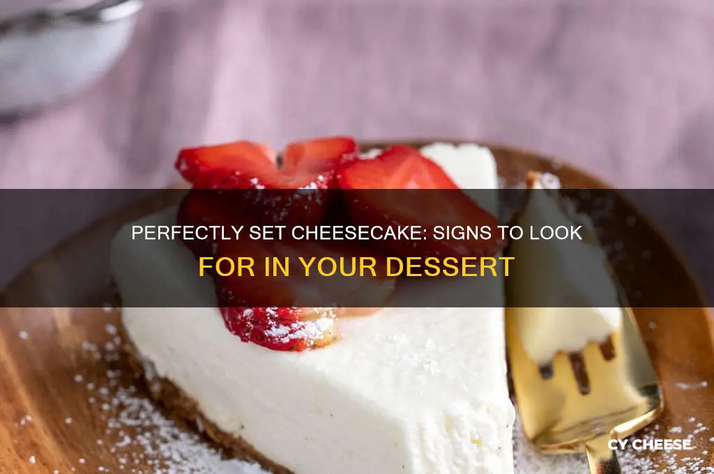 how do you know if cheese cake is set