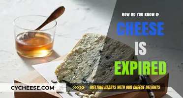 How to Tell if Cheese is Expired: Signs and Tips