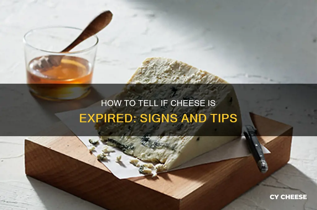 how do you know if cheese is expired