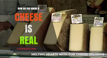 Authentic Cheese: How to Spot the Real Deal in 5 Steps