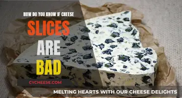 Cheese Slices: Signs of Spoilage and Best Practices