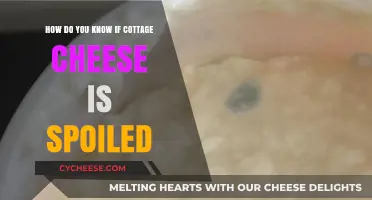 Is Your Cottage Cheese Spoiled? Signs to Look For