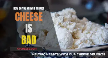 Spotting Bad Farmer Cheese: Signs to Look For