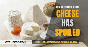 Goat Cheese Gone Bad: Spotting Spoilage Signs