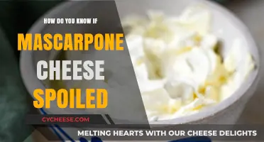 How to Tell If Your Mascarpone Cheese Has Gone Bad