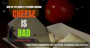 Pecorino Romano Cheese: Signs of Spoilage