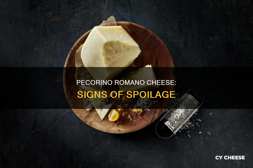 how do you know if pecorino romano cheese is bad
