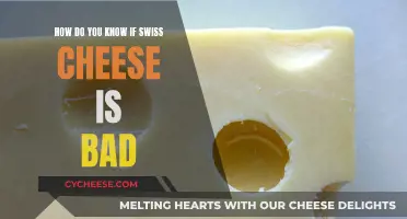 Spotting Bad Swiss Cheese: Signs to Look For