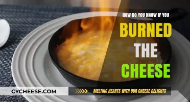 Signs You've Burned the Cheese: Tips to Avoid Overcooking