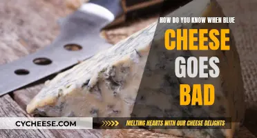 Blue Cheese: When Does It Go Bad?