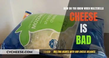 Spotting Bad Mozzarella: Signs to Look Out For