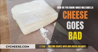 Detecting Bad Mozzarella Cheese: Signs to Look Out For