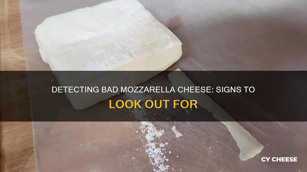 how do you know when mozzarella cheese goes bad