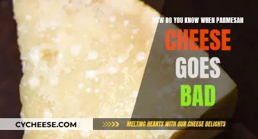 Detecting Bad Parmesan Cheese: What to Look For