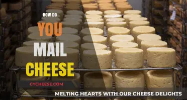 Mailing Cheese: Tips for Safe, Fresh, and Secure Delivery