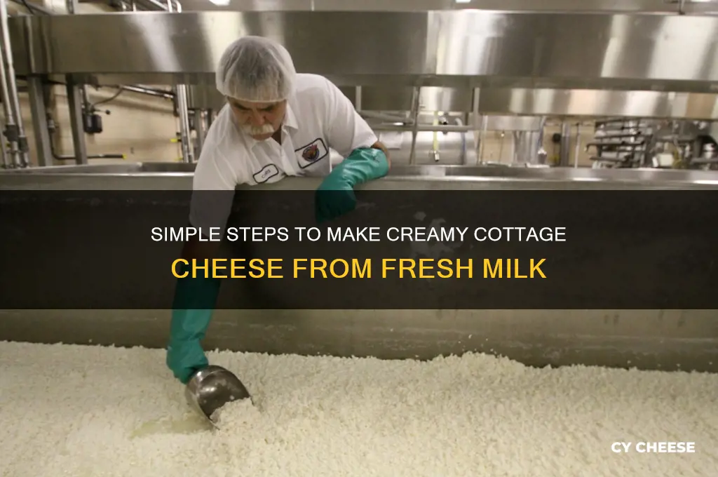 how do you make cottage cheese from milk