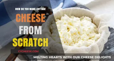 Mastering Homemade Cottage Cheese: A Simple Step-by-Step Guide