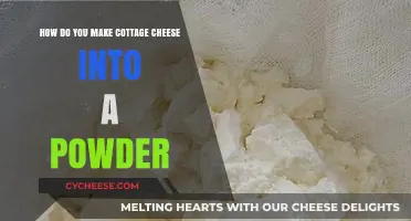 Transform Cottage Cheese into Powder: A Simple DIY Guide