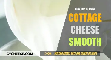 Achieve Creamy Cottage Cheese: Simple Blending Tips for Smooth Texture