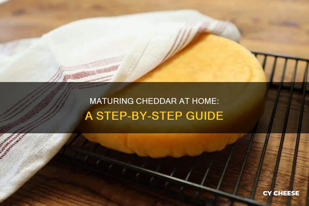 how do you mature cheddar cheese at home