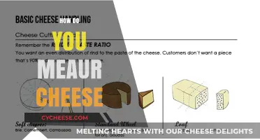 Mastering Cheese Measurement: Tips for Accurate Portions Every Time