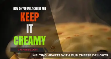 Melting Cheese: Keeping it Creamy and Delicious