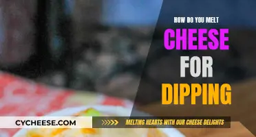 Melting Cheese for Dipping: Best Techniques and Tips