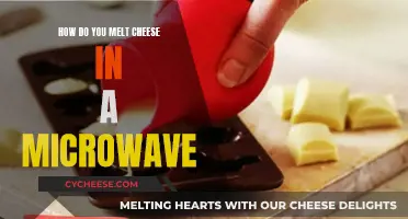 Melting Cheese in a Microwave: Tips and Tricks