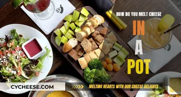 Melting Cheese: Perfect Technique for Delicious Results