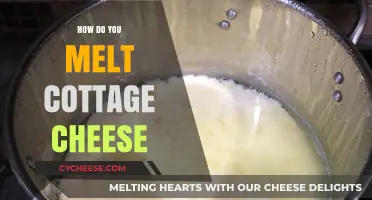 Mastering the Art of Melting Cottage Cheese: Tips and Techniques