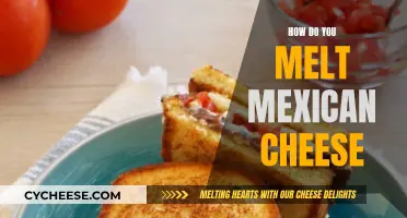Melting Mexican Cheese: The Ultimate Guide to a Gooey Delight