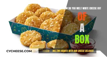 Melting White Cheese: Easy Steps for a Gooey Delight