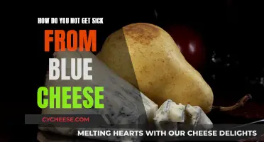 Blue Cheese Consumption: Safe Practices to Avoid Illness