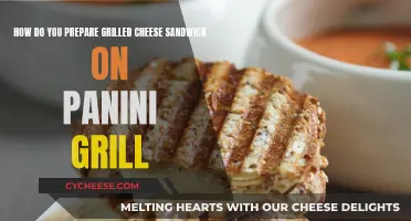 Grilled Cheese Perfection: Panini Press Method