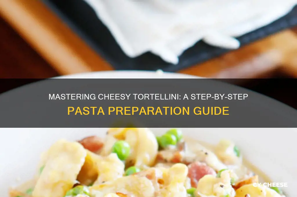how do you prepare tortellini pasta with cheese